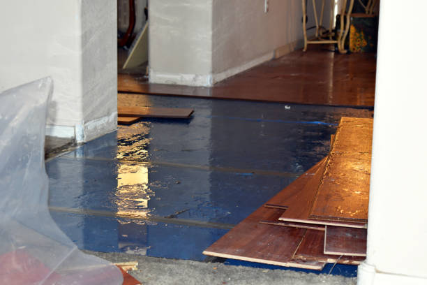 Professional Water Damage Restoration technician working in Lockhart, TX